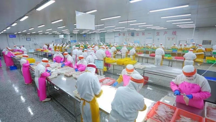 好品山东|穿越疫情,中国最大海产品加工外贸企业如何练就九条命