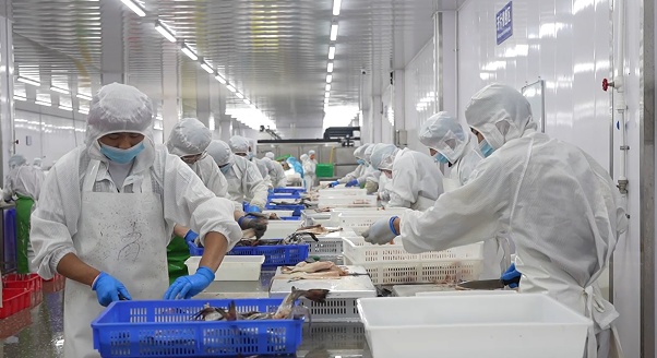 曹县 开足马力忙生产，匠心富农铸品牌