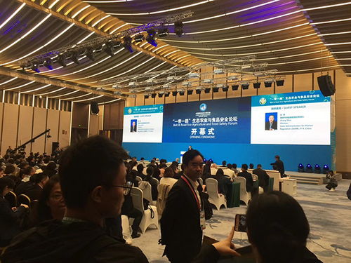 共建食品安全桥梁，推动一带一路食品贸易高质量发展